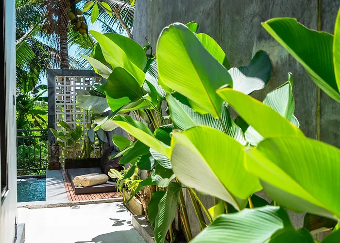 Villa Tropical Modern Private *